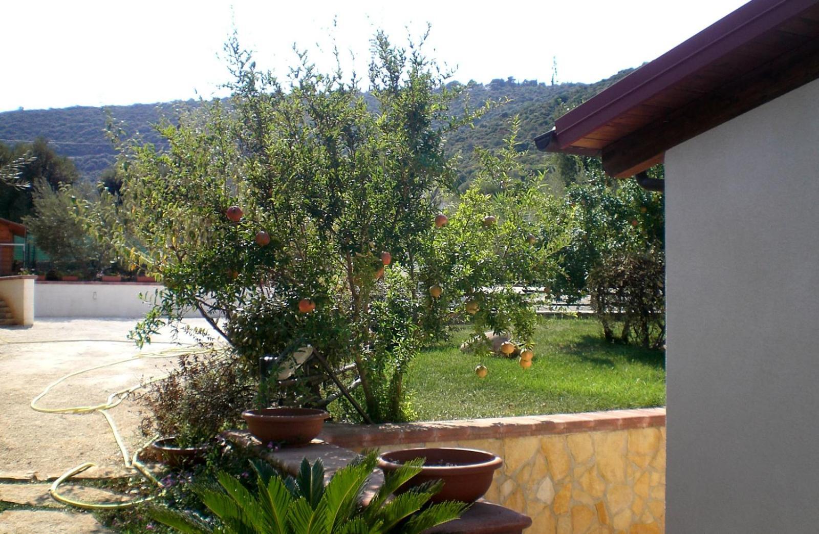 Bed And Breakfast La Casetta Monopoli Exterior foto